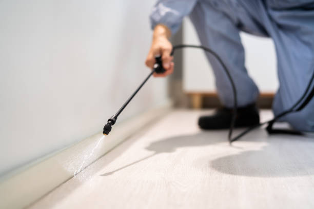 Licensed Termite Control service in Carrollton, VA - Nex Pest Control