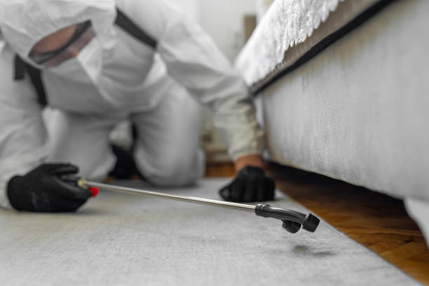 Professional Termite Control technician working in Carrollton, VA