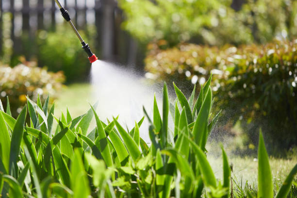 24/7 Emergency Termite Control experts in Carrollton, VA