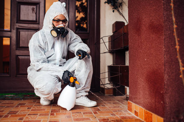 Reliable Termite Control contractor in Carrollton, VA by Nex Pest Control